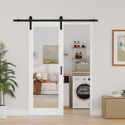 Portes de salle de bain placard en bois massif avec apprêt complet 1-Lite