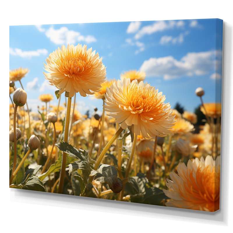 Dandelion Sunlit Petals I - impression sur toile florale, H 30 po x l 40 po x P 1,5 po, Toile tendue