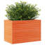 Amiela Planter Box-918828468-918828479