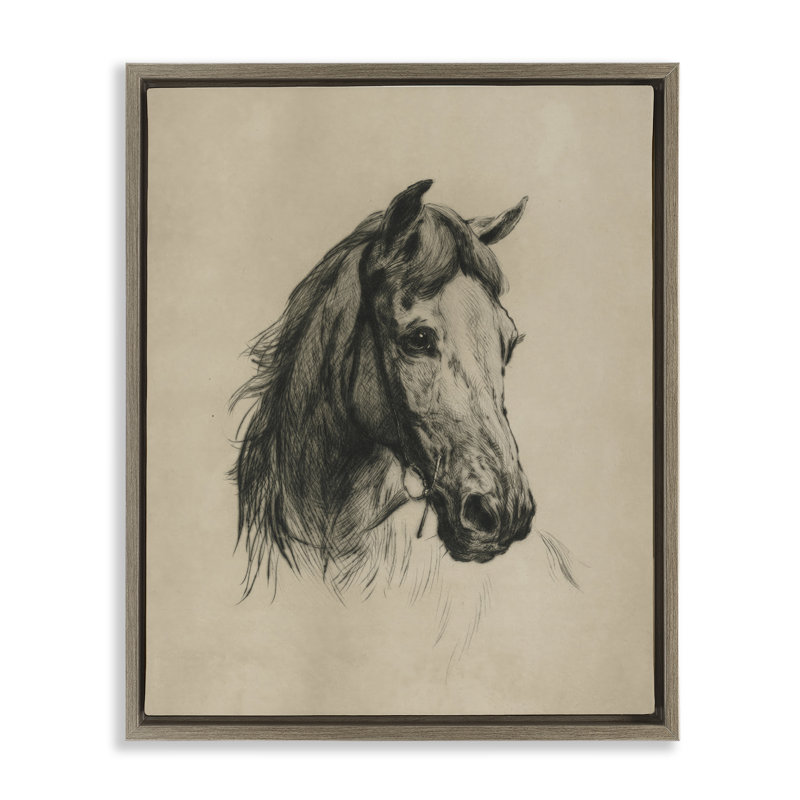 «Charcoal Horse Portrait Floater», art mural par Arlington Prints, H 31 po x l 25 po, Cadre flottant orme Montalcino