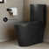 St. Tropez One-Piece 14" Rough-In 1.1/1.6 GPF Dual Top Flush Elongated Toilet In Matte Black