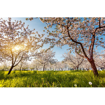 " Apple Tree " by Leonid_Tit