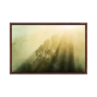 Fogalyptus 1 Piece Wall Art on Canvas