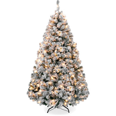 Lighted Pine Christmas Tree