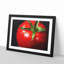 Red Tomatoes - Framed Print-56758774-56758775