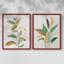 Touched with Sage I-Premium, reproduction encadrée - prête à être accrochée - aucun clou requis - aucun clou requis-680558176-680558177