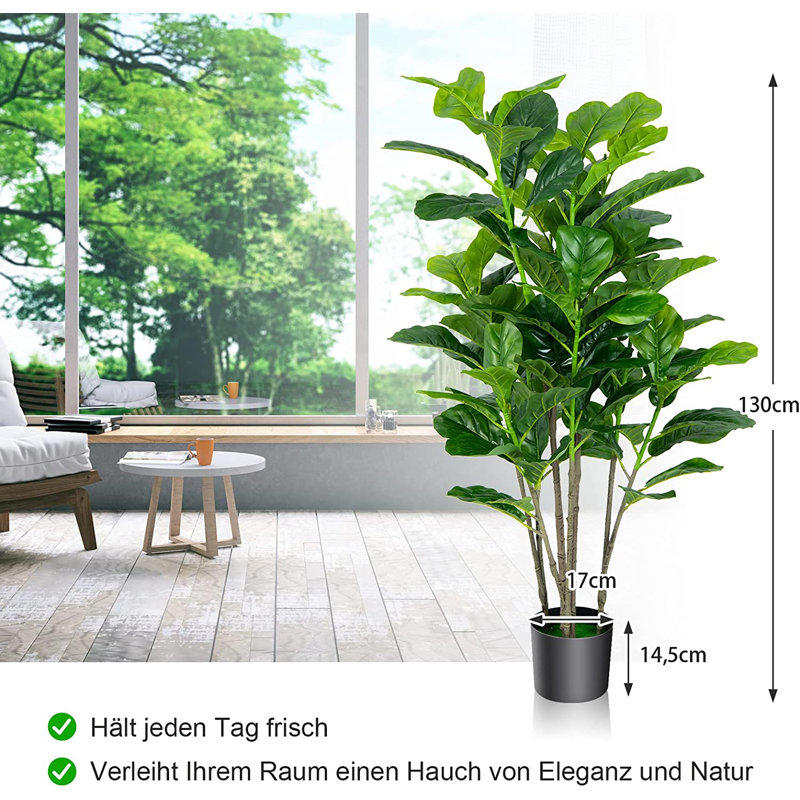 Evergreen Plant in Pot, 130cm H x 17cm W x 17cm D