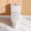 Toilette allongée une pièce à double chasse avec surface émaillée Ally-94830327-105449775
