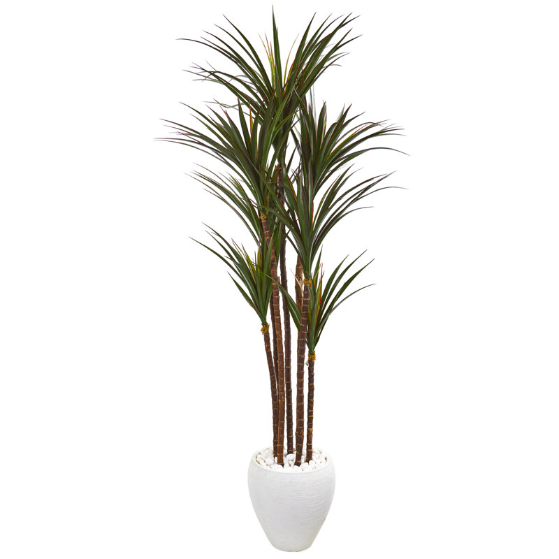 70in. Giant Yucca Artificial Tree in White Planter UV Resistant