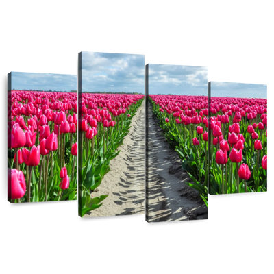 Tulipes Harnek