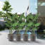 Kozyard pots de fleurs ronds d'intérieur 4Packs avec plateau récupérant l'eau pour le patio-1716788116-1716788113