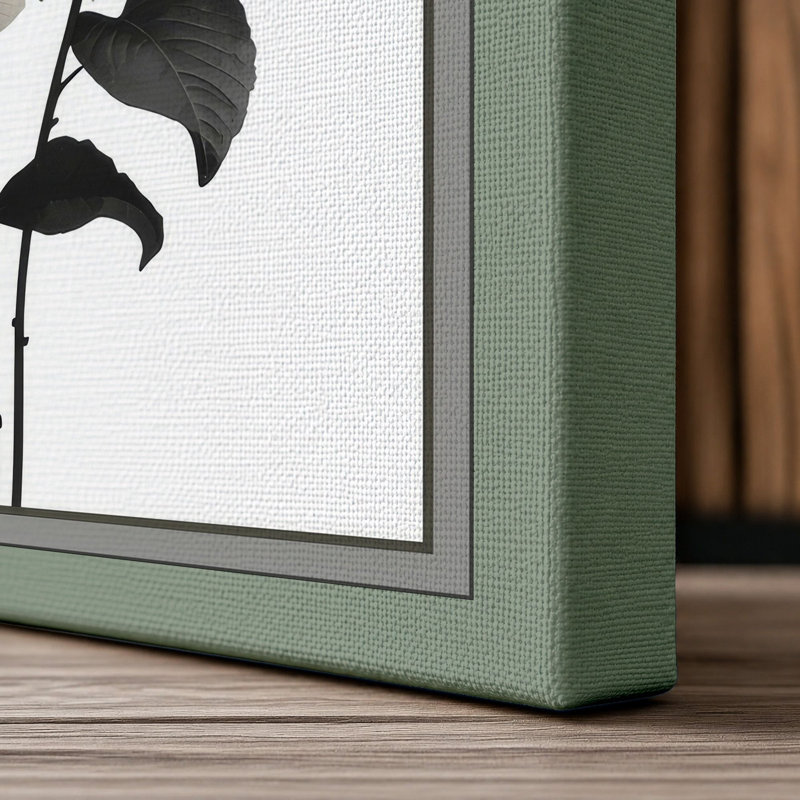 Hydrangea Study Botanical - Wrapped Canvas, 36x24 - 91.4 x 61.0 cm, Sage Border