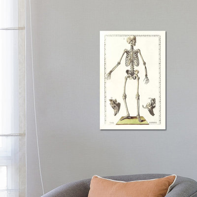 " The Science Of Human Anatomy V " by National Library Of Medicine