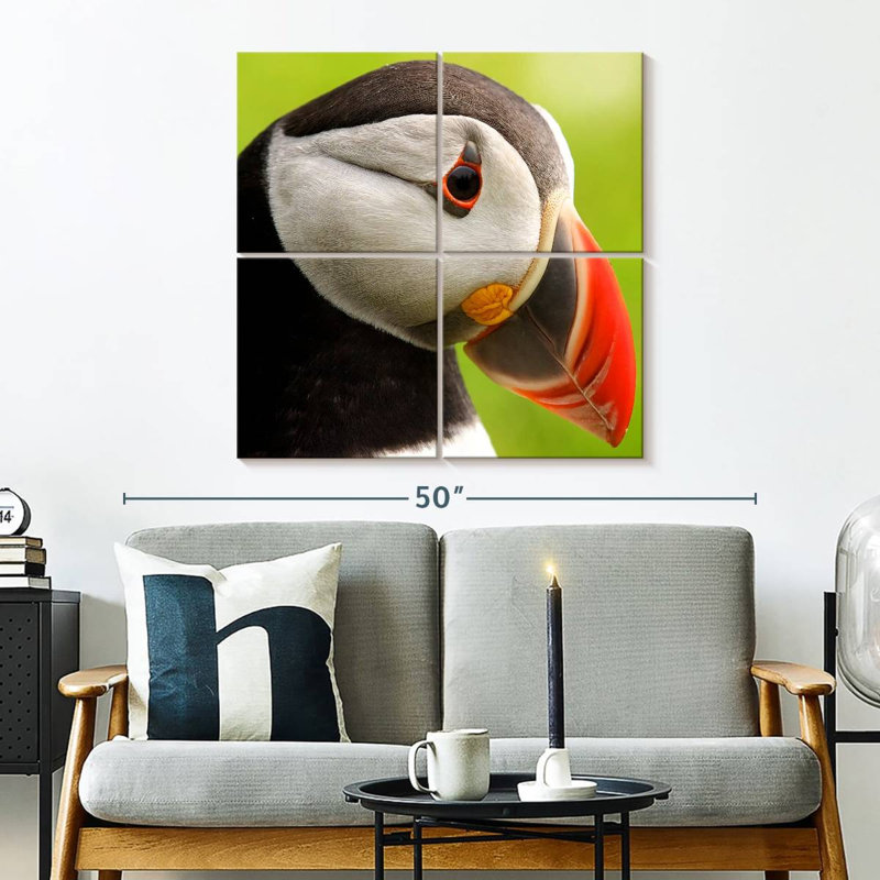 Brampt Wild Puffin, 32'' H x 32'' W