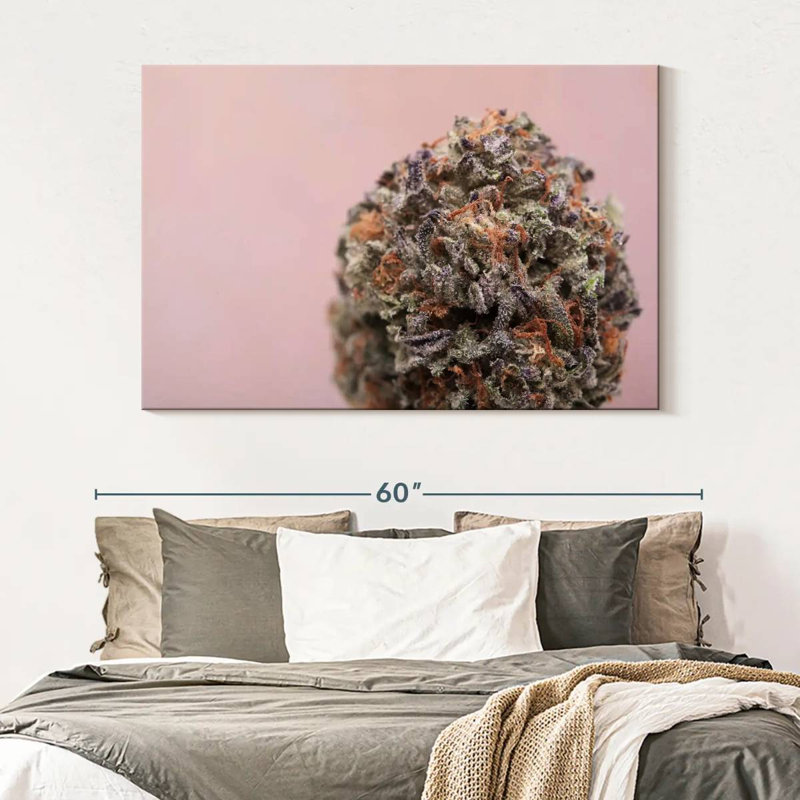 Bourgeon de marijuana, H 34 po x l 51 po