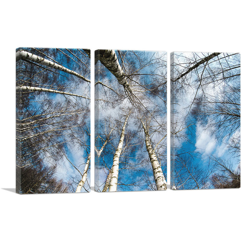 High Trees Forest Home Decor - ensemble de 3 reproductions de photos sur toiles tendues, H 40 po x l 60 po x P 0,75 po