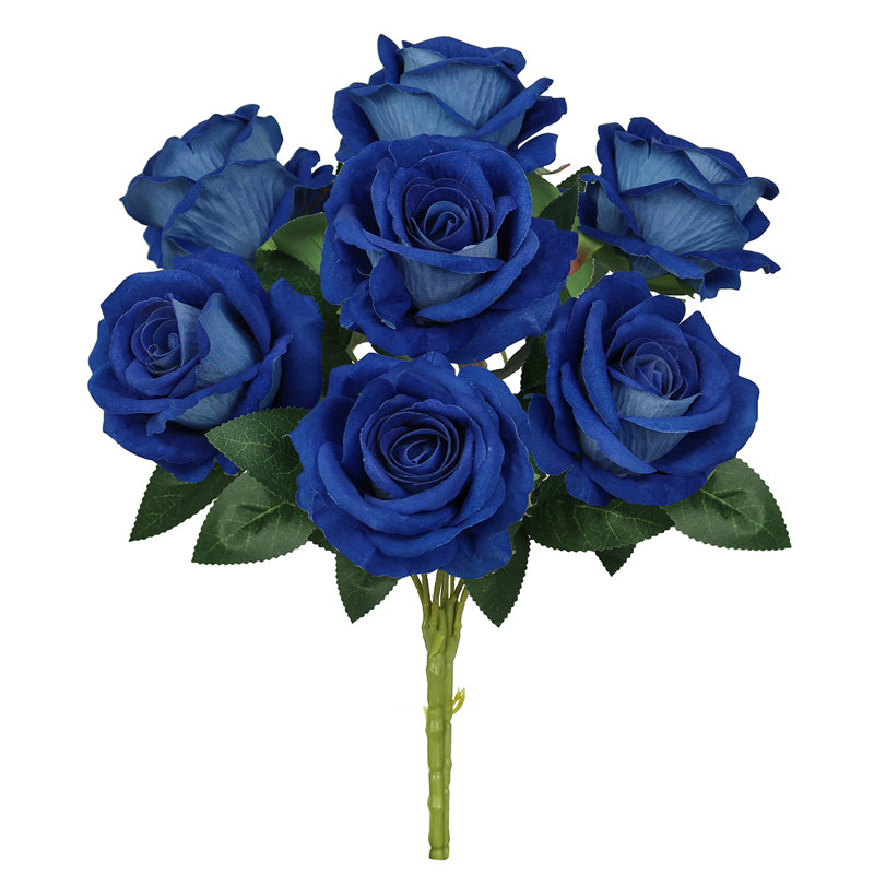 Velours rosier, Bleu royal