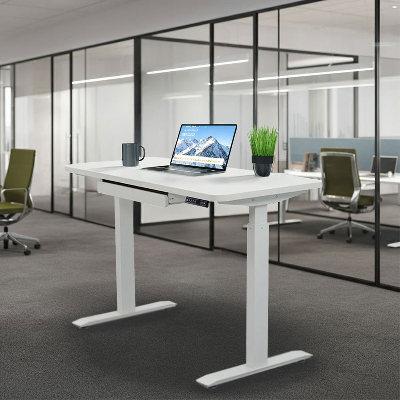 Kaylan RISE 2 Series 48" x 24" Electric Sit-Stand Desk w/ Dual Motors and Drawer, Snow White