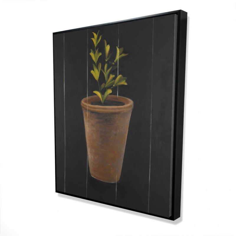 Plant Of Marjolaine Print On Canvas