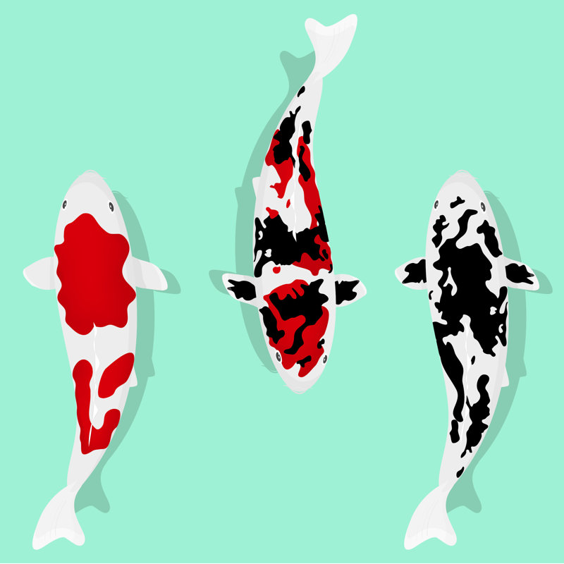 Koi Fishs by Exxorian - Wrapped Canvas Print, 30cm H x 30cm W