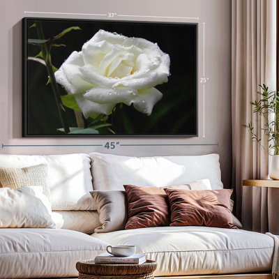 Impression sur toile Dewdrops On White Rose