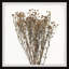 Dried Floral - Single Picture Frame Painting-337748185