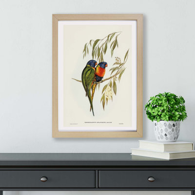 Swainsons Lorikeets by Elizabeth Gould - Framed Print