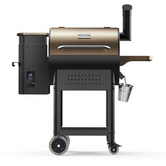 Wayfair  Meat Probe Wood Pellet Grills You'll Love in 2023