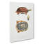 Three Banded Box Terrapin by John Edward Gray - Wrapped Canvas-55358794