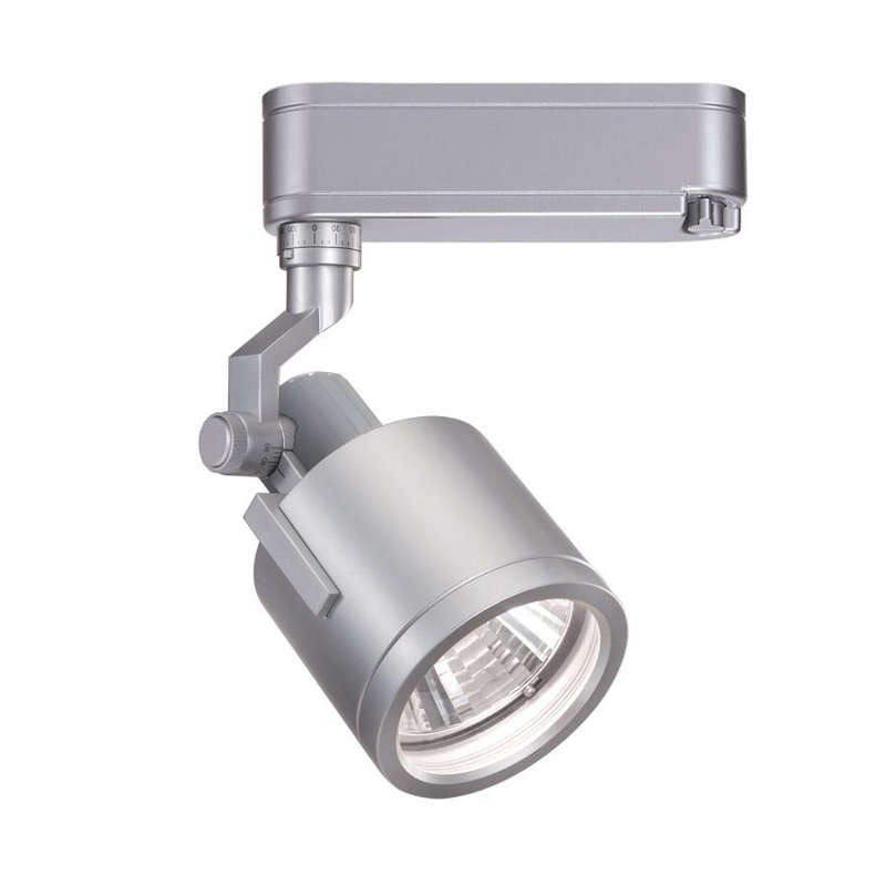 Platinum Adjustable Track Head, Flood