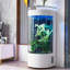Aquarium 27,56 po-890120676-890120674