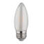 2 Watt LED Bulb