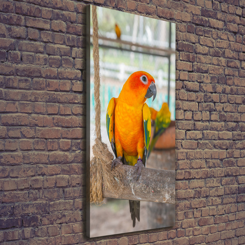 Parrot - Wrapped Canvas Print