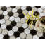 Carreau de mosaïque en porcelaine pour mur et plancher Perfection 1 x 1