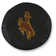 Housse de roue NCAA