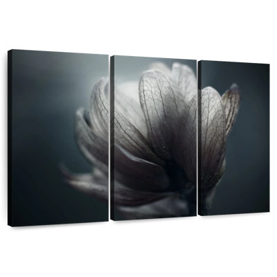 Fleur Harnek Luminous
