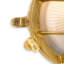 Brass 14cm H Frosted Glass Outdoor Bulkhead Light