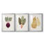 Organic Veg Ix - Ensemble de 3 cadres photo-1427840728-1427840729