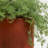 19.5" & 23.5" H. Large Heavy Duty Cylindrical Cement Planter Box Set of 2 with Drainage Hole Rust Colour