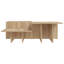 Cunegunda Abstract Coffee Table-514524924