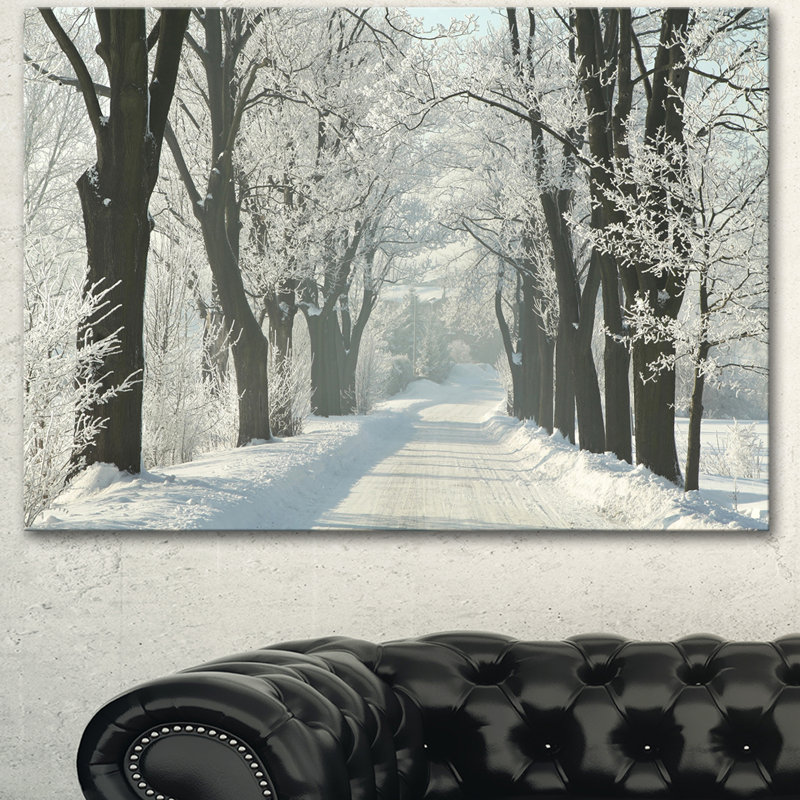 «Country Road Entre Foggy Trees», photographie, H 16 po x l 32 po x P 1 po, Toile tendue