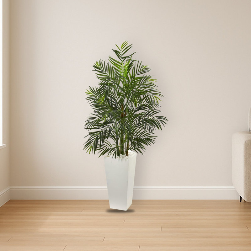 Areca Palm Tree in Planter