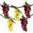 5-Count Red and Green Grape Cluster String Light Set 8ft Brown Wire