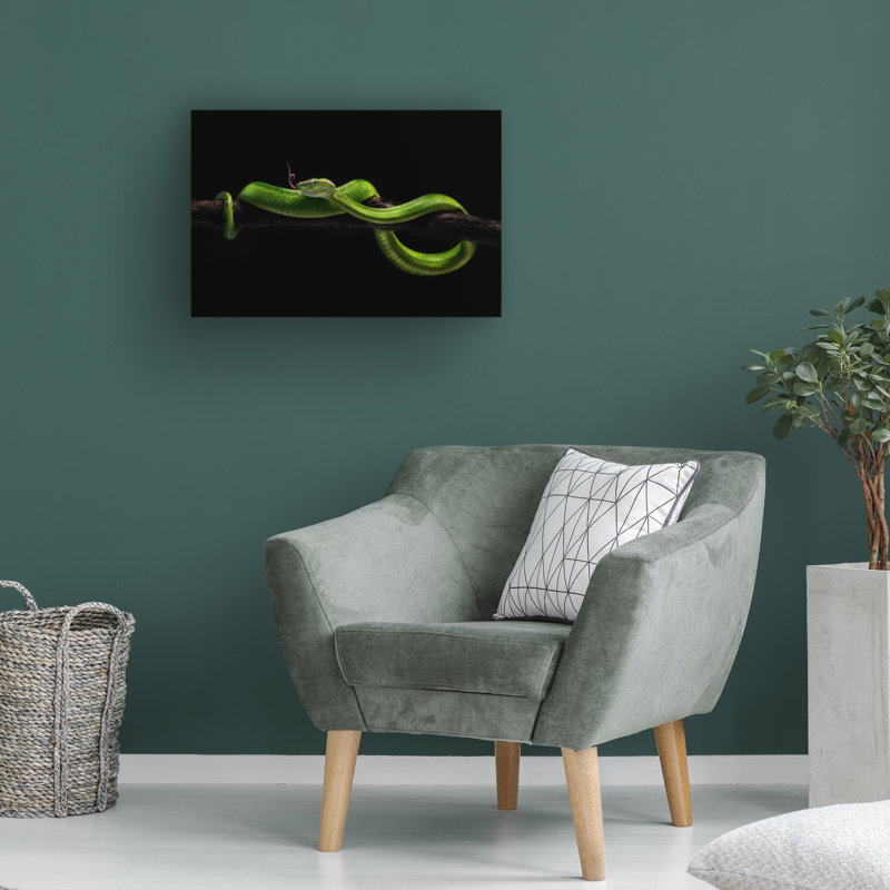 Bolog Rooswandy Juniawan Viper One Canvas Art, 12" H x 19" W