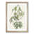 Oak Framed selected