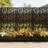 70.87" H × 46.06" W Leaf Pattern Privacy Screen With Planter Box/ Black Metal Freestanding Decorative Fence Planter For Patio Balcony Backyard
