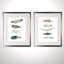 Collection de plumes - ensemble de 2 reproductions d'art graphique-28785820
