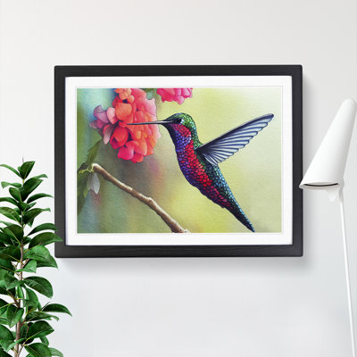 Hummingbird Vol.6 - Single Picture Frame Print