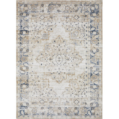 Aldonia Oriental Indoor Rug