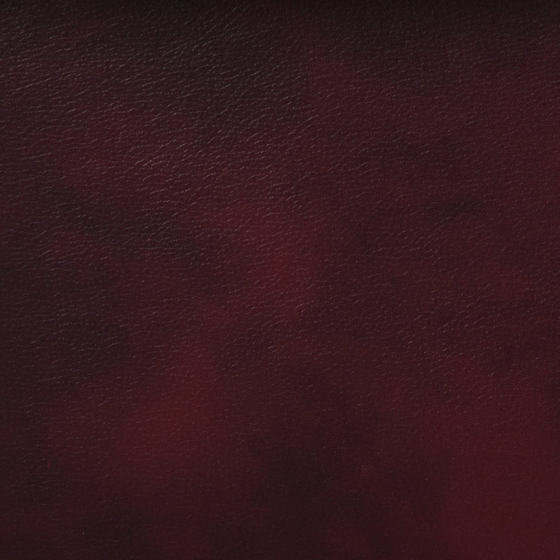 Tamberg Genuine Leather Sofa, Cherry, 4